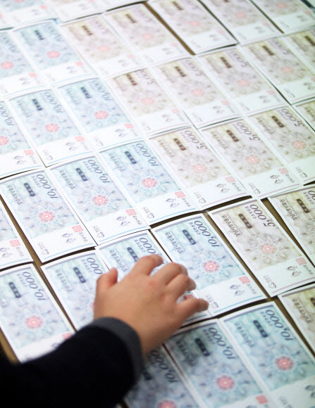 경기도 성남시의 지역사랑상품권인 성남사랑상품권 모습. <연합뉴스>